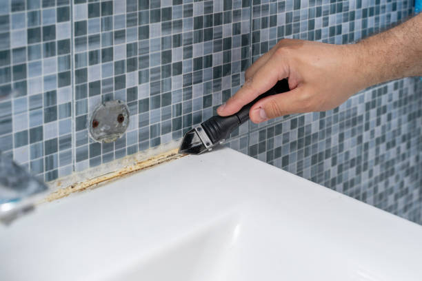 Certified Mold Removal in Shelbyville, IL